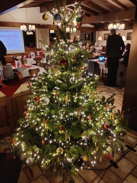 Christbaumversteigerung 2025