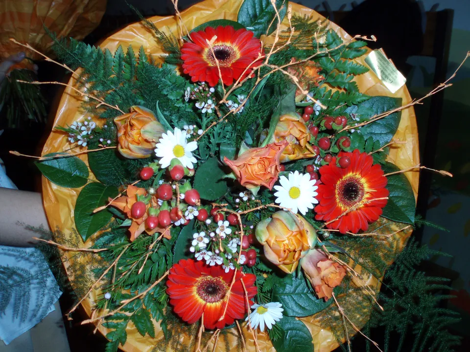 Frühjahrskonzert 2007 - Rückblick